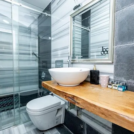 Cosy Triplex Flat איסטמבול